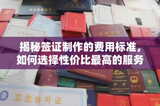 烟台揭秘签证制作的费用标准，如何选择性价比最高的服务？