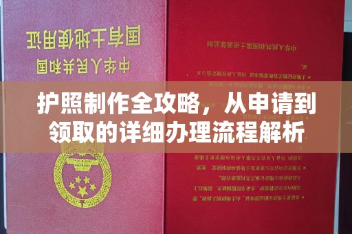烟台护照制作全攻略，从申请到领取的详细办理流程解析
